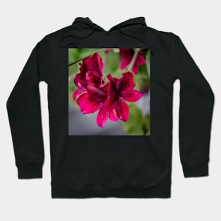 FLOWERS, NATURE’S Fashion Models Hoodie